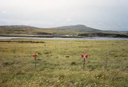 Argentina invades Falklands