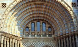 Opening of the Natural History Museum