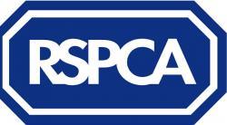 RSPCA formed