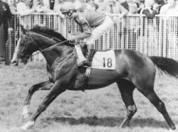 Shergar kidnapped