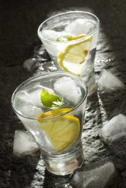 Gin and Tonic