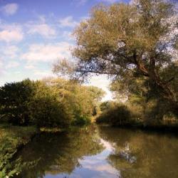 River Cherwell