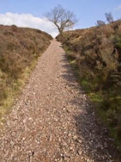 Cannock Chase