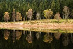 The Trossachs