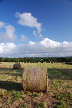 Vale of Glamorgan