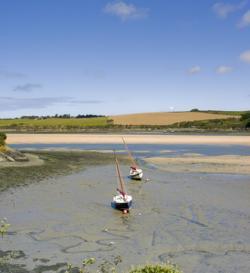 Camel Estuary