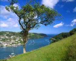 Salcombe Hill