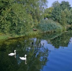 River Ouse