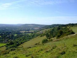 Reigate Hill