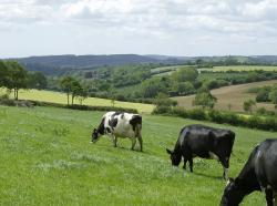 Blackdown Hills