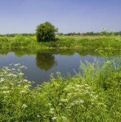 River Adur