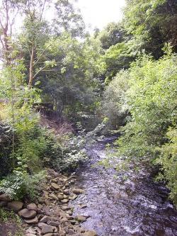 Rhondda Valley