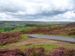 North Yorkshire Moors