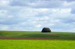 Avebury