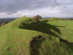 Brent Knoll