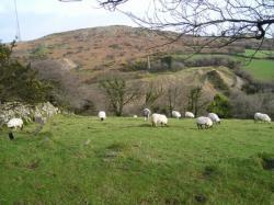 Calstock