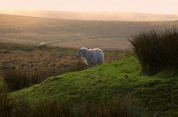 Chagford