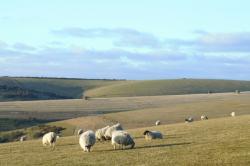 Ditchling