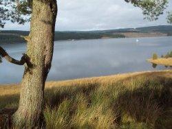 Kielder Water