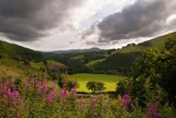 Llandovery