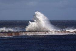 Roker