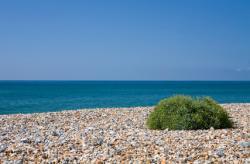 St. Leonards-On-Sea