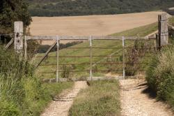 West Bexington