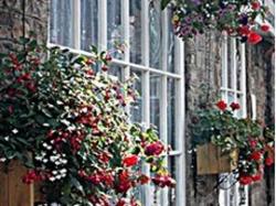 Blackberries ~ Restaurant, Bar & Rooms