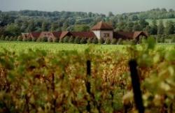 Denbies Wine Estate